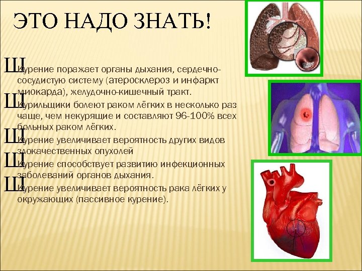 ЭТО НАДО ЗНАТЬ! Ш поражает органы дыхания, сердечно. Курение сосудистую систему (атеросклероз и инфаркт