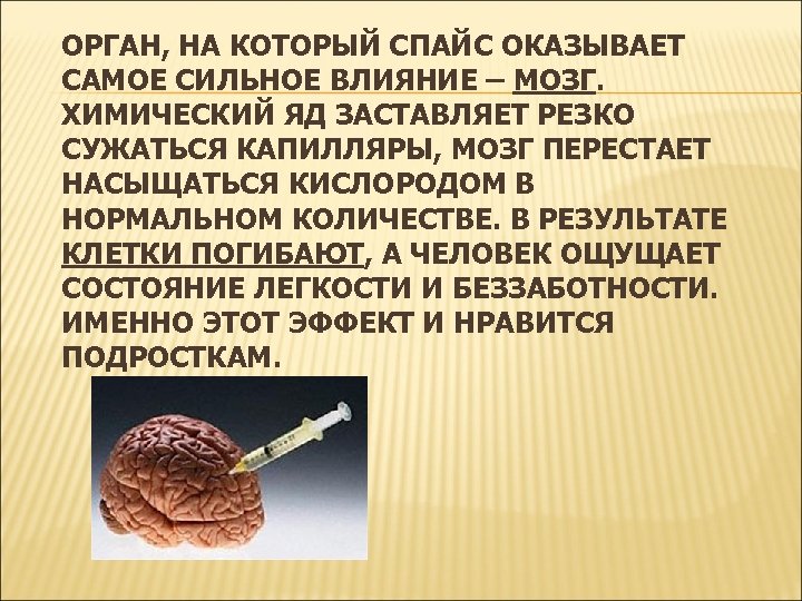 ОРГАН, НА КОТОРЫЙ СПАЙС ОКАЗЫВАЕТ САМОЕ СИЛЬНОЕ ВЛИЯНИЕ – МОЗГ. ХИМИЧЕСКИЙ ЯД ЗАСТАВЛЯЕТ РЕЗКО