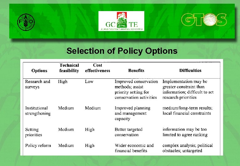 Selection of Policy Options 