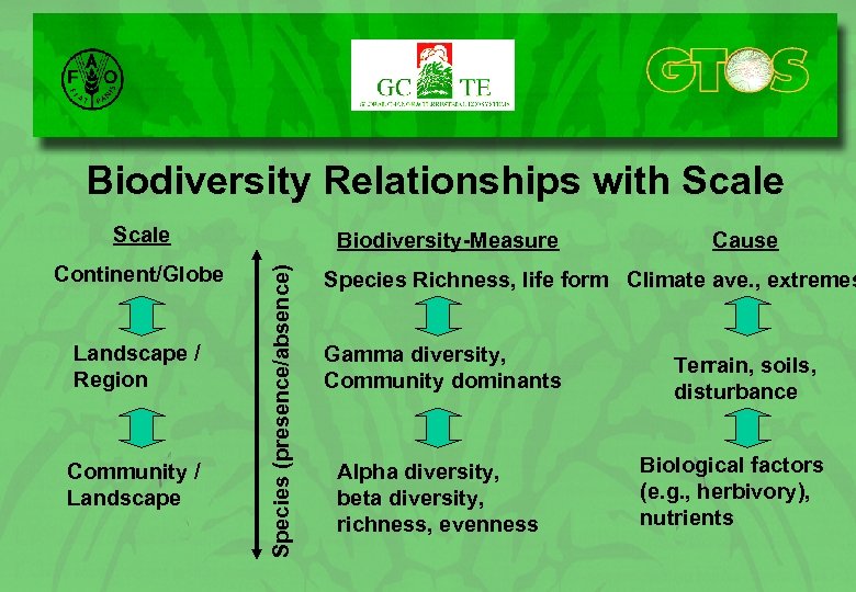 Biodiversity Relationships with Scale Landscape / Region Community / Landscape Species (presence/absence) Continent/Globe Biodiversity-Measure