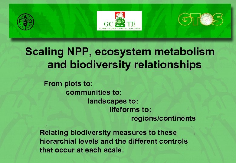 Scaling NPP, ecosystem metabolism and biodiversity relationships From plots to: communities to: landscapes to: