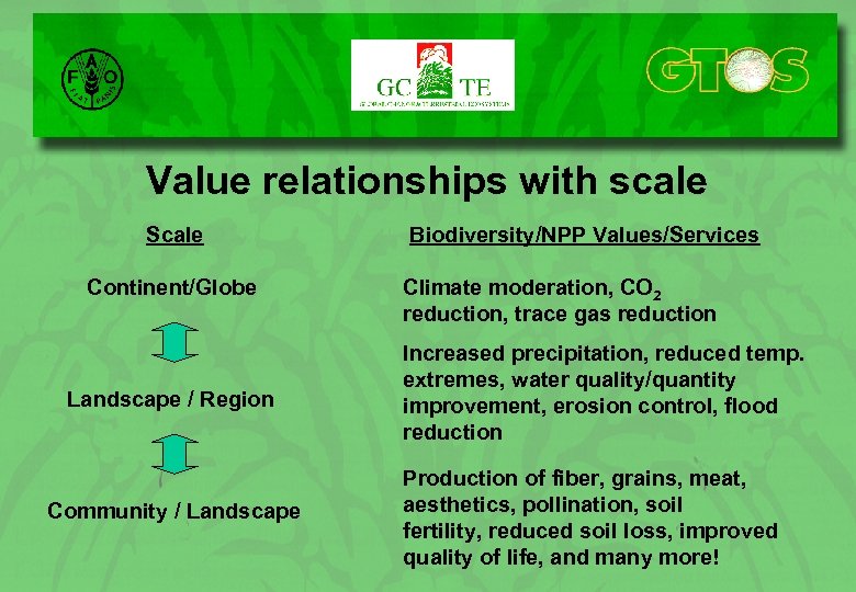 Value relationships with scale Scale Continent/Globe Landscape / Region Community / Landscape Biodiversity/NPP Values/Services