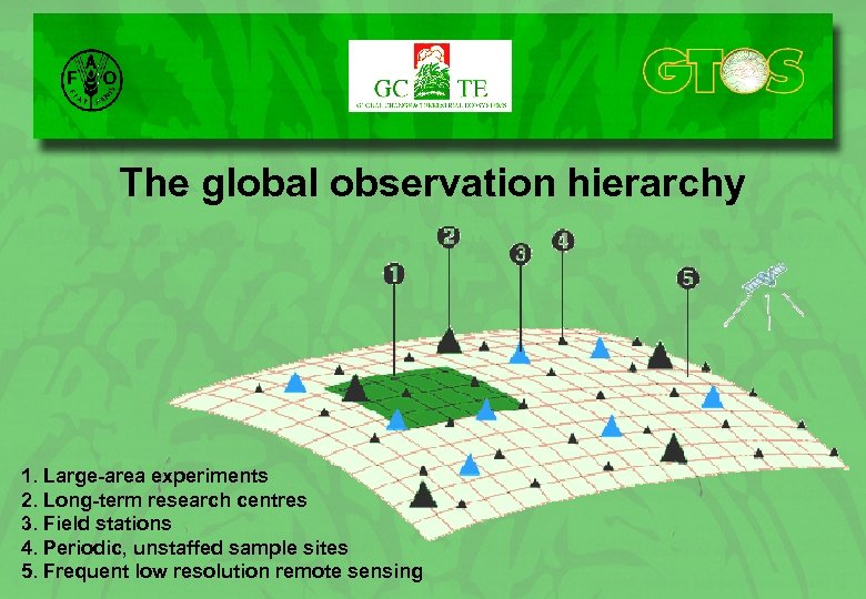The global observation hierarchy 1. Large-area experiments 2. Long-term research centres 3. Field stations