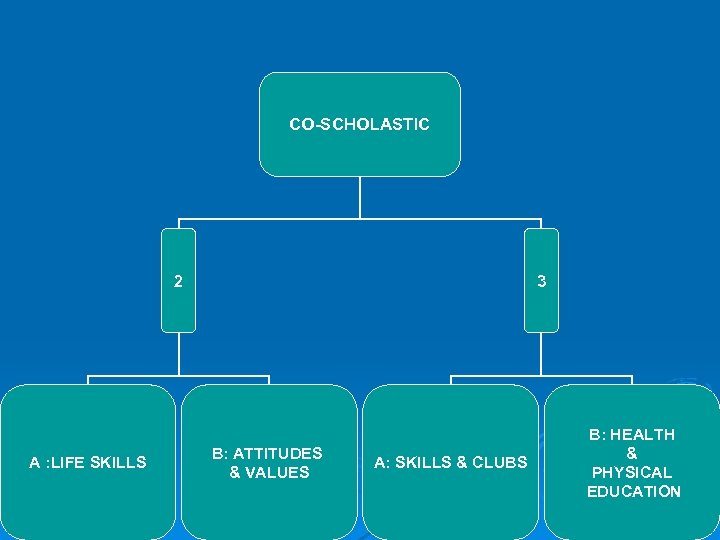 CO-SCHOLASTIC 2 A : LIFE SKILLS 3 B: ATTITUDES & VALUES A: SKILLS &