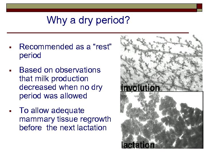 Why a dry period? § Recommended as a “rest” period § Based on observations