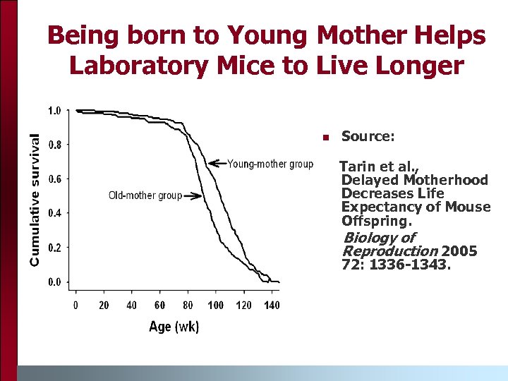 Being born to Young Mother Helps Laboratory Mice to Live Longer n Source: Tarin