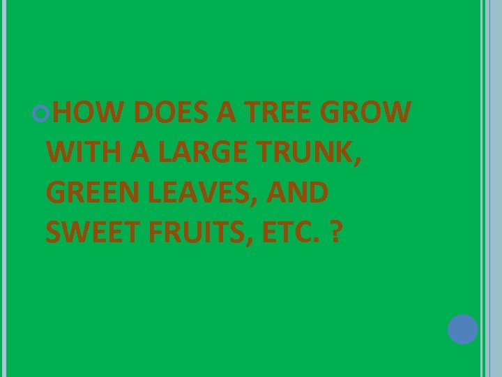  HOW DOES A TREE GROW WITH A LARGE TRUNK, GREEN LEAVES, AND SWEET