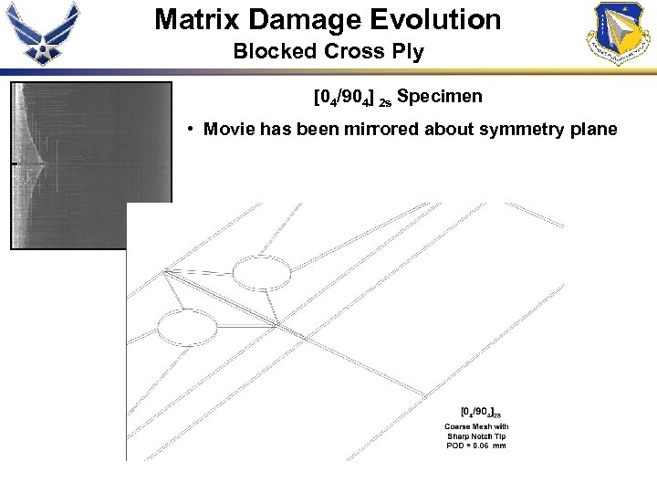 Matrix Damage Evolution Blocked Cross Ply [04/904] 2 s Specimen • Movie has been