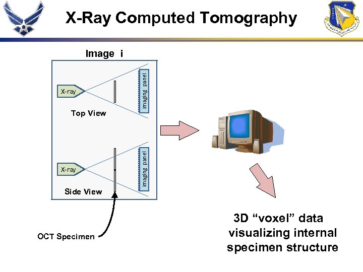 X-Ray Computed Tomography Top View X-ray imaging panel Image i Side View OCT Specimen