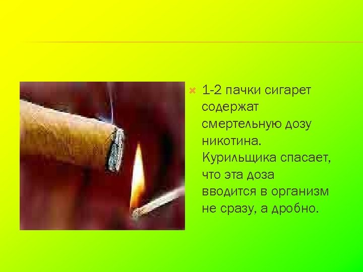  1 -2 пачки сигарет содержат смертельную дозу никотина. Курильщика спасает, что эта доза