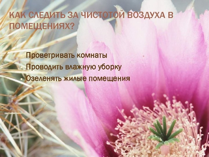 КАК СЛЕДИТЬ ЗА ЧИСТОТОЙ ВОЗДУХА В ПОМЕЩЕНИЯХ? • • • Проветривать комнаты Проводить влажную