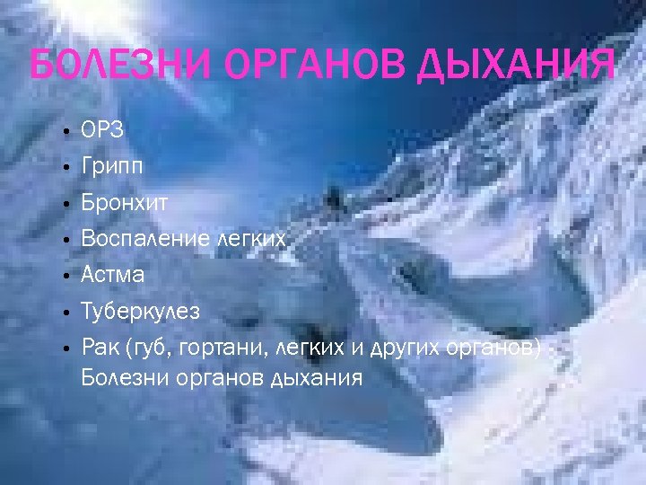 БОЛЕЗНИ ОРГАНОВ ДЫХАНИЯ • • ОРЗ Грипп Бронхит Воспаление легких Астма Туберкулез Рак (губ,