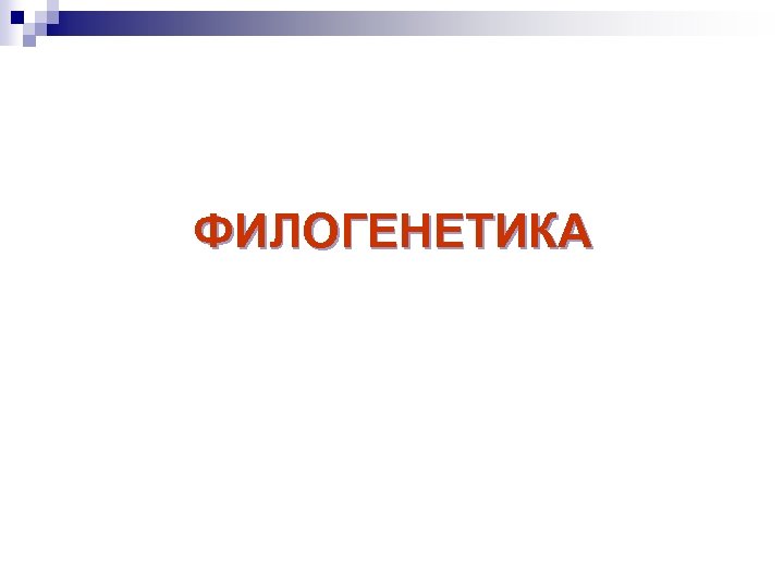 ФИЛОГЕНЕТИКА 