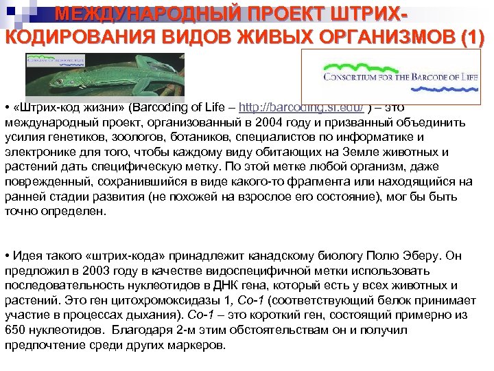 МЕЖДУНАРОДНЫЙ ПРОЕКТ ШТРИХКОДИРОВАНИЯ ВИДОВ ЖИВЫХ ОРГАНИЗМОВ (1) • «Штрих-код жизни» (Barcoding of Life –