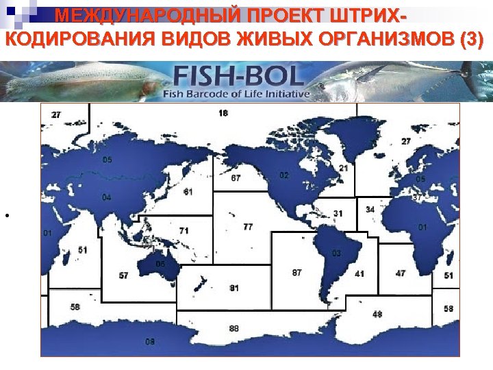 МЕЖДУНАРОДНЫЙ ПРОЕКТ ШТРИХКОДИРОВАНИЯ ВИДОВ ЖИВЫХ ОРГАНИЗМОВ (3) • 