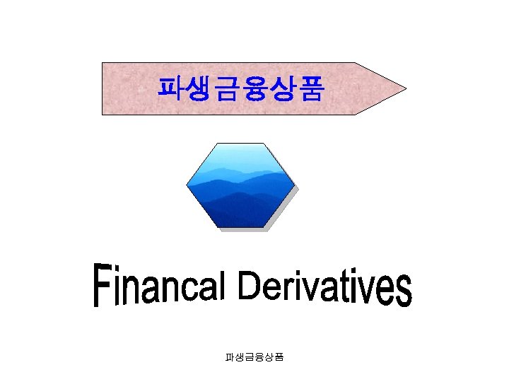파생금융상품 
