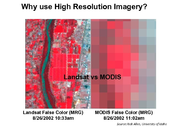 Why use High Resolution Imagery? Landsat vs MODIS Landsat False Color (MRG) 8/26/2002 10: