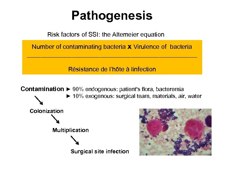 Pathogenesis Risk factors of SSI: the Altemeier equation Number of contaminating bacteria x Virulence