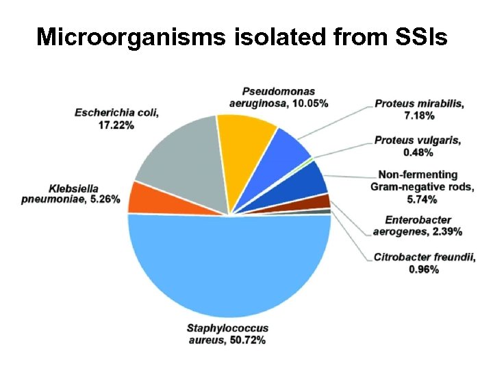 Microorganisms isolated from SSIs 