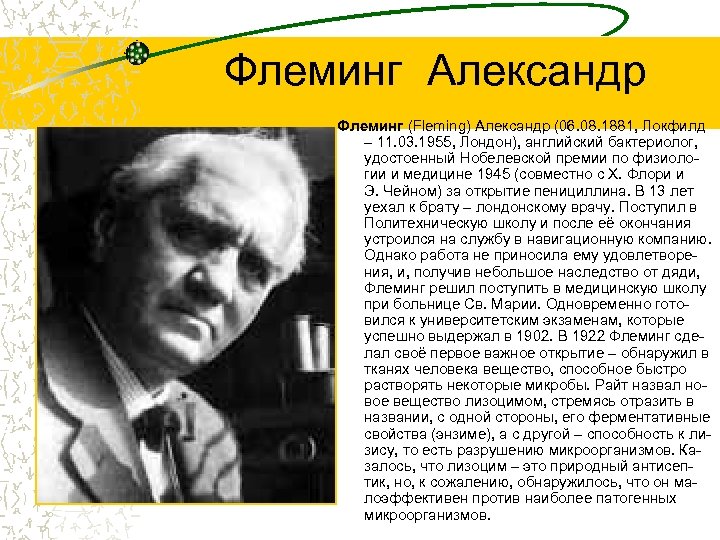 Флеминг Александр Флеминг (Fleming) Александр (06. 08. 1881, Локфилд – 11. 03. 1955, Лондон),