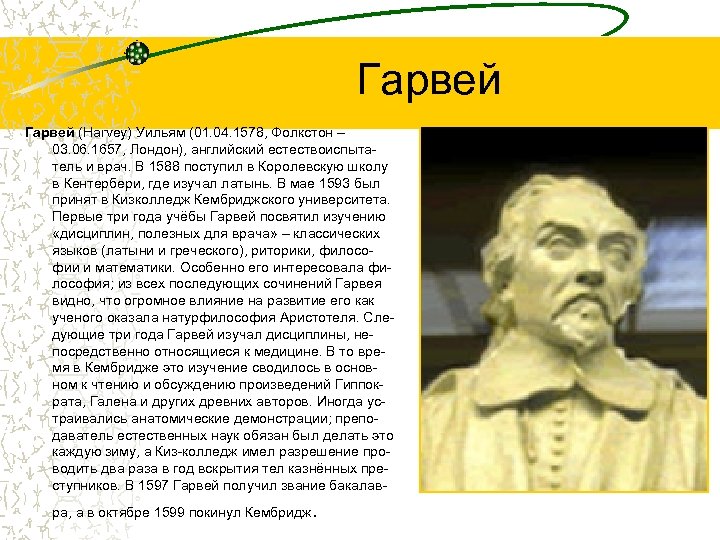 Гарвей (Harvey) Уильям (01. 04. 1578, Фолкстон – 03. 06. 1657, Лондон), английский естествоиспытатель