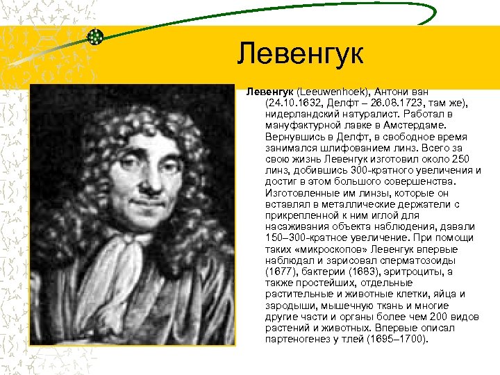Левенгук (Leeuwenhoek), Антони ван (24. 10. 1632, Делфт – 26. 08. 1723, там же),