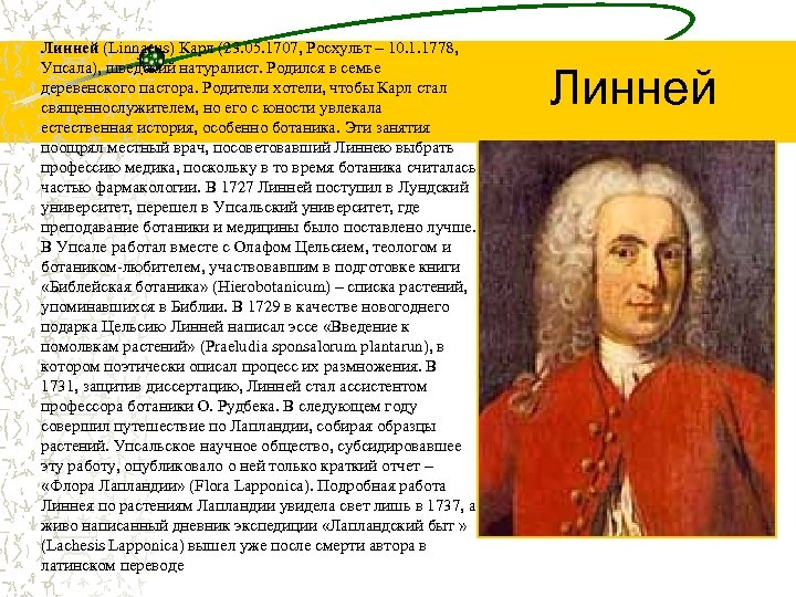 Линней (Linnaeus) Карл (23. 05. 1707, Росхульт – 10. 1. 1778, Упсала), шведский натуралист.