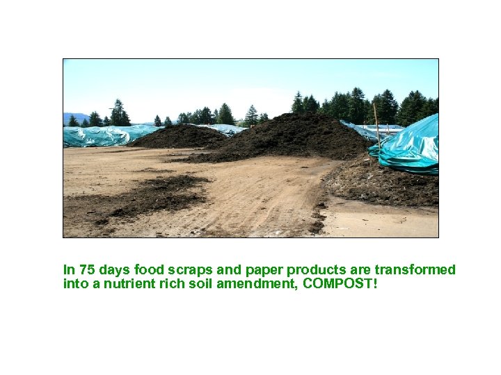 In 75 days food scraps and paper products are transformed into a nutrient rich