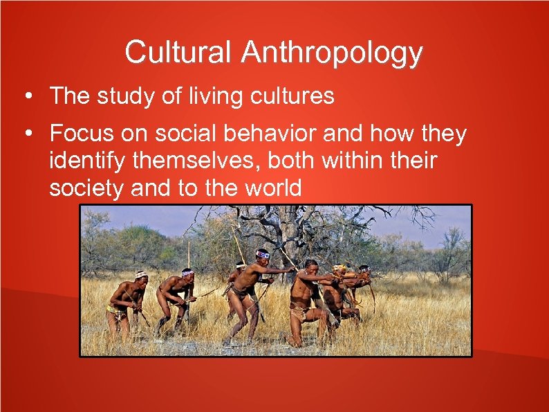 Cultural Anthropology • The study of living cultures • Focus on social behavior and