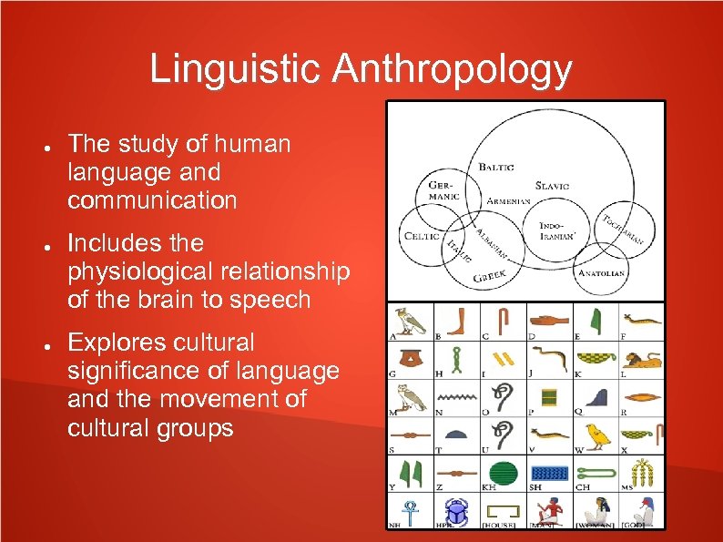Linguistic Anthropology ● ● ● The study of human language and communication Includes the