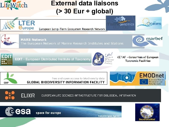 External data liaisons (> 30 Eur + global) 
