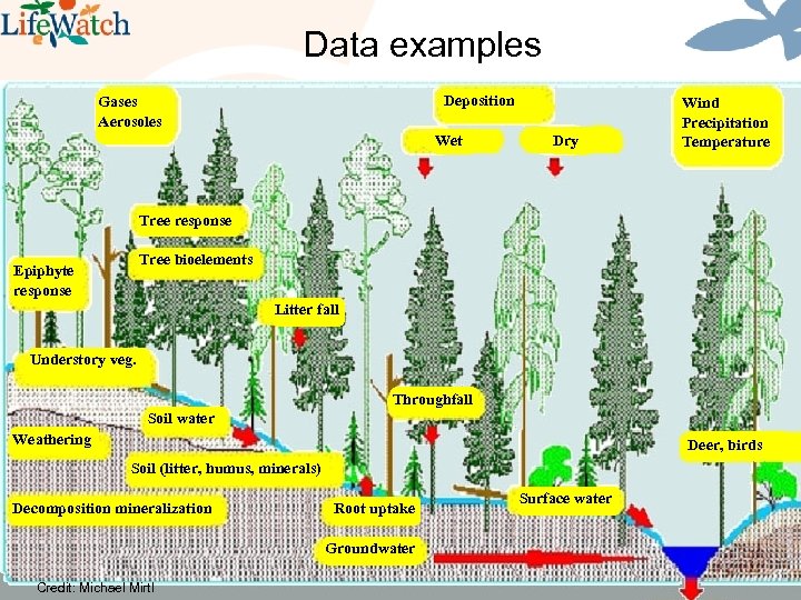 Data examples Deposition Gases Aerosoles Wet Dry Wind Precipitation Temperature Tree response Tree bioelements