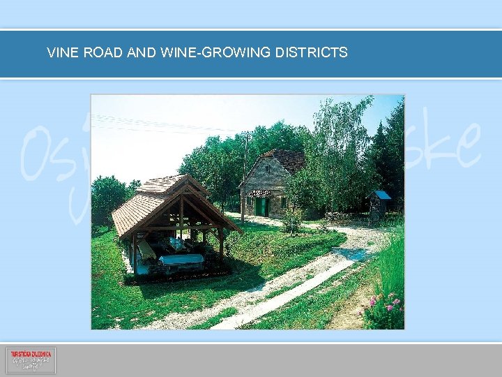 VINE ROAD AND WINE-GROWING DISTRICTS 