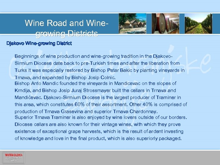 Wine Road and Winegrowing Districts Djakovo Wine-growing District Beginnings of wine production and wine-growing