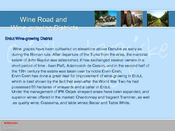 Wine Road and Wine-growing Districts Erdut Wine-growing District Wine grapes have been cultivated on