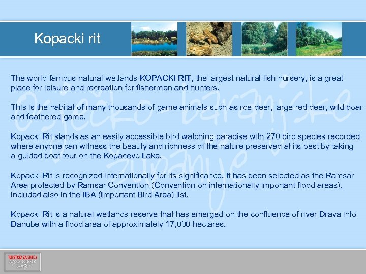 Kopacki rit The world-famous natural wetlands KOPACKI RIT, the largest natural fish nursery, is