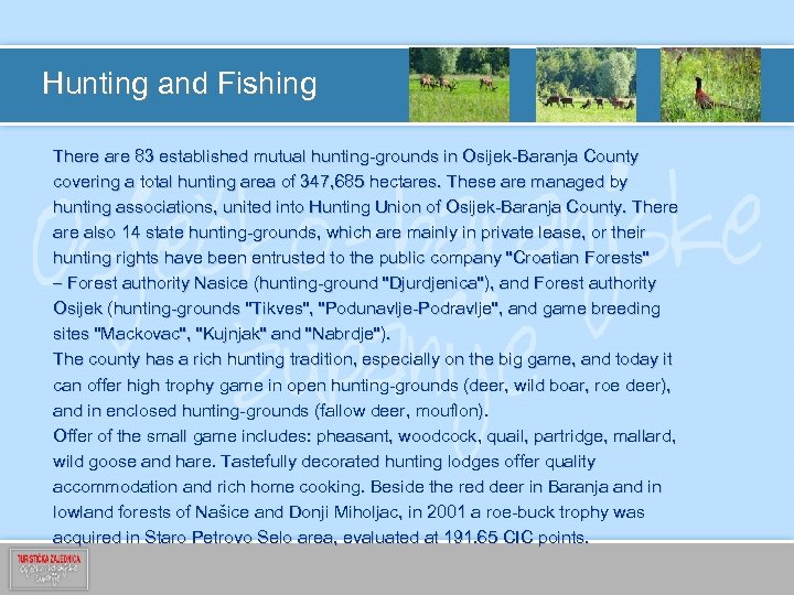 Hunting and Fishing There are 83 established mutual hunting-grounds in Osijek-Baranja County covering a