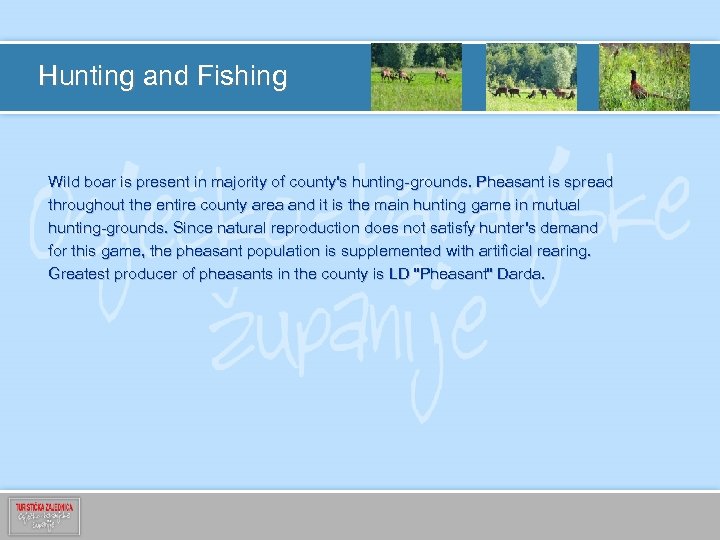Hunting and Fishing Wild boar is present in majority of county's hunting-grounds. Pheasant is