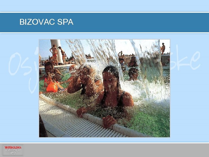 BIZOVAC SPA 