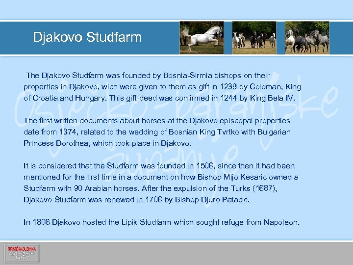 Djakovo Studfarm The Djakovo Studfarm was founded by Bosnia-Sirmia bishops on their properties in