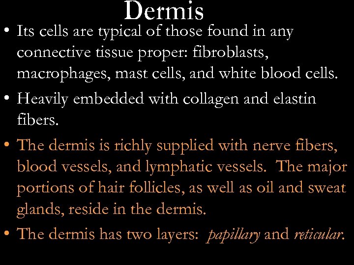  • Its cells are typical of those found in any connective tissue proper: