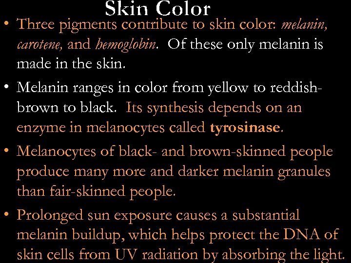  • Three pigments contribute to skin color: melanin, carotene, and hemoglobin. Of these