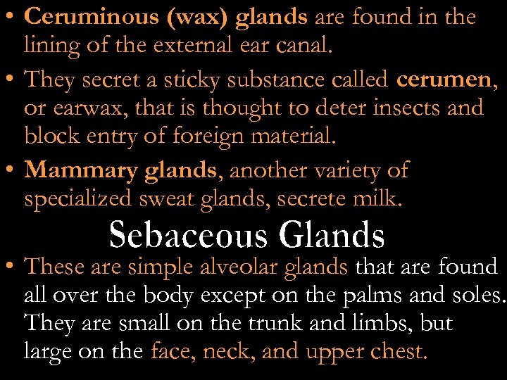  • Ceruminous (wax) glands are found in the lining of the external ear