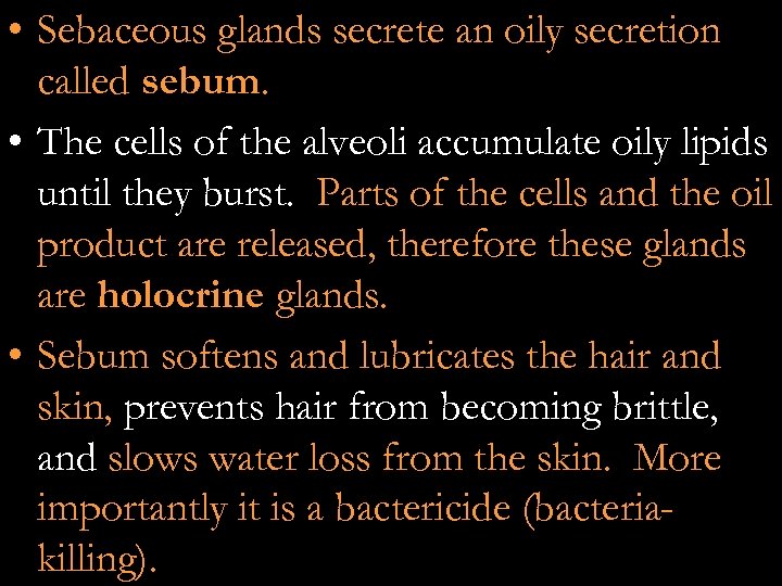  • Sebaceous glands secrete an oily secretion called sebum. • The cells of