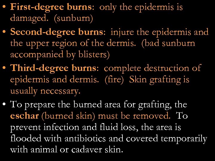  • First-degree burns: only the epidermis is damaged. (sunburn) • Second-degree burns: injure