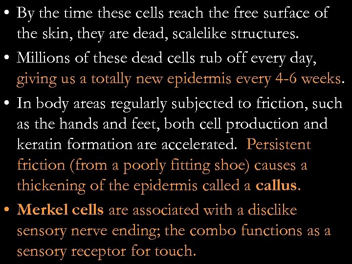  • By the time these cells reach the free surface of the skin,