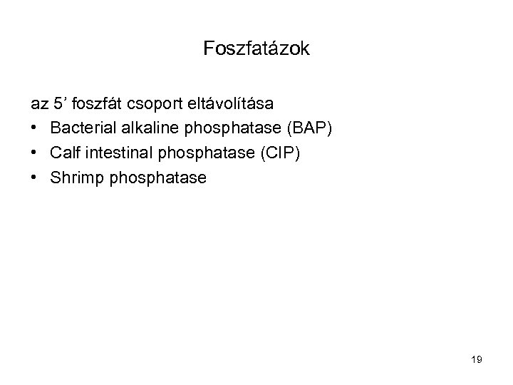 Foszfatázok az 5’ foszfát csoport eltávolítása • Bacterial alkaline phosphatase (BAP) • Calf intestinal