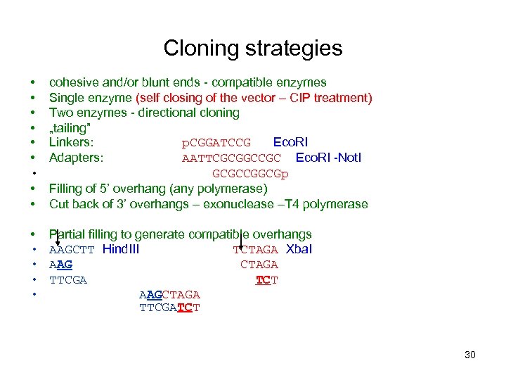 Cloning strategies • • • cohesive and/or blunt ends - compatible enzymes Single enzyme