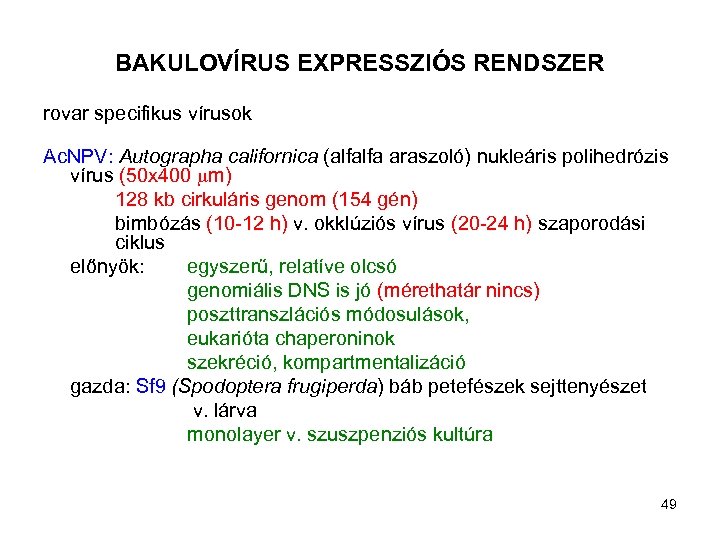 BAKULOVÍRUS EXPRESSZIÓS RENDSZER rovar specifikus vírusok Ac. NPV: Autographa californica (alfalfa araszoló) nukleáris polihedrózis
