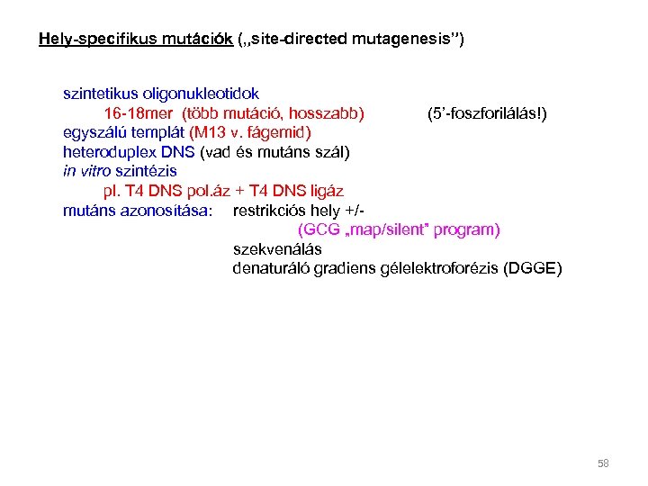 Hely-specifikus mutációk („site-directed mutagenesis”) szintetikus oligonukleotidok 16 -18 mer (több mutáció, hosszabb) (5’-foszforilálás!) egyszálú